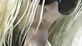 نئی آفس اسسٹنٹ کو اس ...